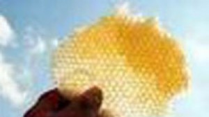 Крадец учи сина си на занаят