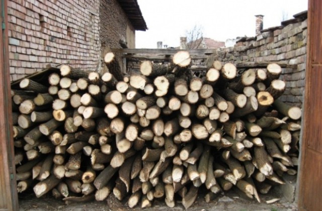 Незаконно добита дървесина установиха служители на РУ – В.Търново