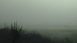 Времето на 20 декември На места ще прехвърча сняг