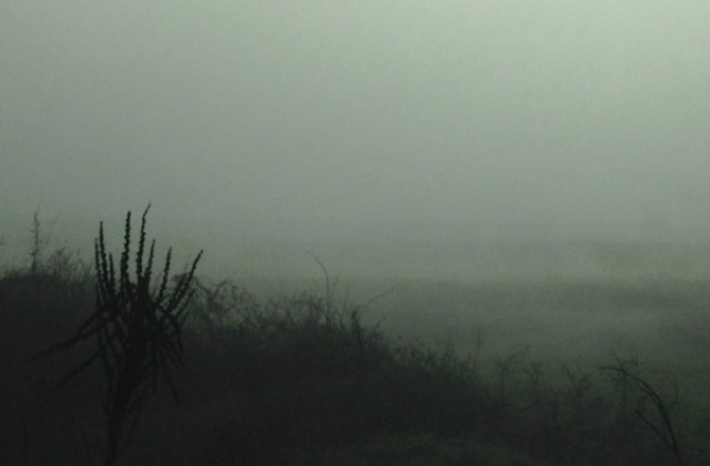 Времето на 20 декември: На места ще прехвърча сняг