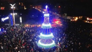 Какво на Нова година