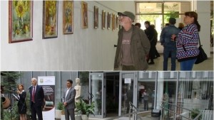 КДК в Димитровград с изложба библиотеката посреща столични специалисти