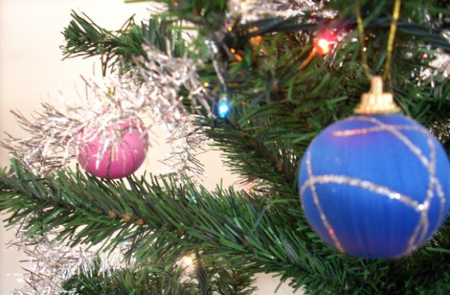 Коледен празник за деца и младежи от великотърновските социални центрове организират общински съветници