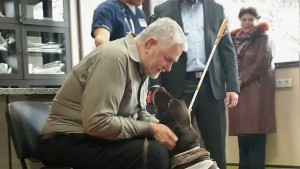 Куче водач с болно сърце получи втори шанс за живот