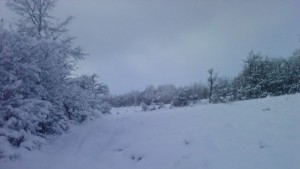 Зимната обстановка в региона на 22 декември