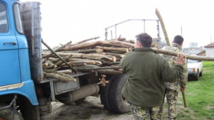 Две кражби на дърва са разкрити в РУ Велико Търново