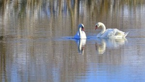 Предимно слънчево дневните температура ще се повишат