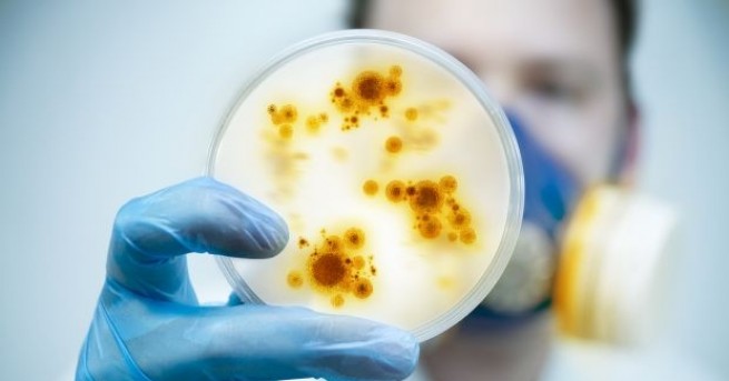 Прицелването в специфична Ахилесова пета на бактериите може да се