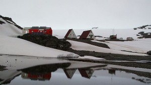 Полярниците ни в Антарктида с капама на коледната трапеза
