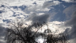 Времето на 28 декември Ще има превалявания от слаб сняг