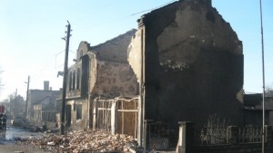 Фондация раздава храна за животните в Хитрино