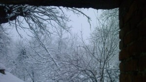 Силен вятър в цялата Габровска област