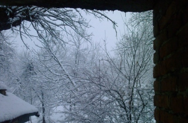 Силен вятър в цялата Габровска област