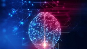 В Перу беше открит музей на болните мозъци