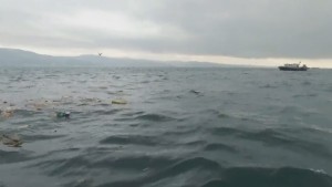 Открити са и трите черни кутии на катастрофиралия в Черно