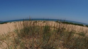 Кабинетът одобри промени в Закона за устройство на Черноморското крайбрежие