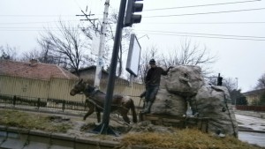 Въведоха конкретни правила за ползване на каруци в община Плевен