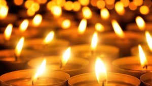 Почина найстарият самец от вида гигантска панда в света