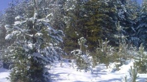 Предимно облачно време температурите се понижават