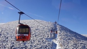 Деца от център посрещат Нова година на Боровец със съдействието