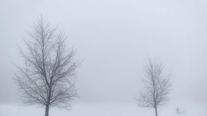 Снежно и ветровито