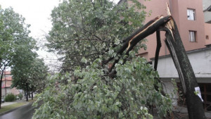 Автомобили изпотрошени от бурния вятър