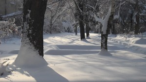 Какво време ни очаква през януари