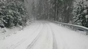 В четвъртък и петък забраняват движението на тежкотоварни автомобили