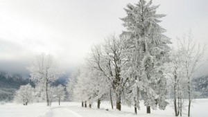 Сняг и кучи студ от четвъртък в цялата страна