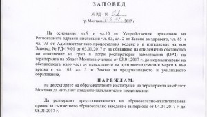 Грипна ваканция в Монтана