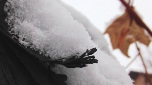 Какво време ни очаква на Богоявление