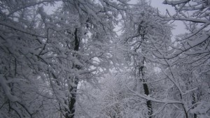 Община Добрич предупреждава за рязко влошаване на времето