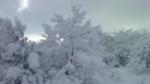 Оранжев код за силен вятър и сняг е обявен за