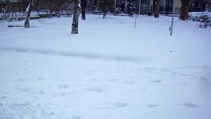 Отворен е само пътят ДобричКардам няма ток и вода в