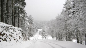 Отвориха за движение пътища в Свищовско