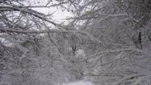 Няма затворени пътища в областта