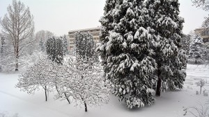 Обстановката в Монтанско към 12 часа