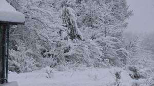 Междуградски автобуси не потеглиха поради зимната обстановка
