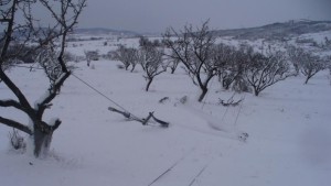 Четири села все още са без ток