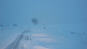 Бедствено положение в Нови пазар и Никола Козлево