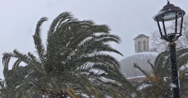 За втора поредна година в пустинята Сахара валя сняг съобщават