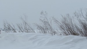 Отново леден ден