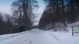 Добре изчистен път за Осогово започна да вали нов сняг