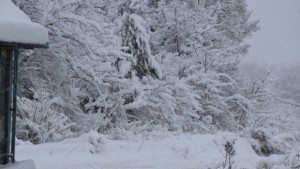 Пътната обстановка в община Ловеч остава усложнена
