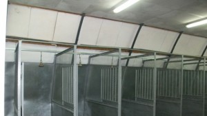 Доброволци помагат в кучкарника в Каменар