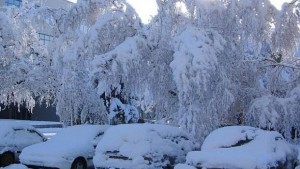 Остава в сила бедственото положение в община Генерал Тошево