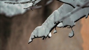 Времето в следващите дни Сняг затопляне и отново студ