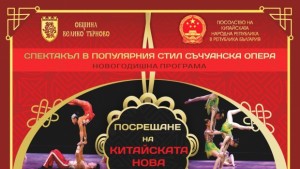 Заради снега и студа отменят китайската Нова година във В