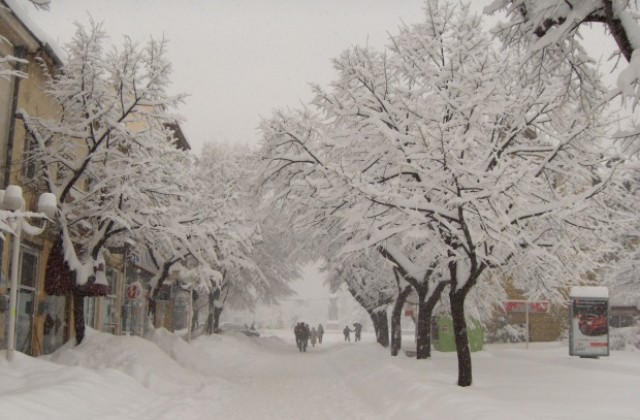 Тежка остава зимната обстановката в Община Враца