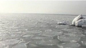 Част от залива под нос Чиракман в Каварна замръзна